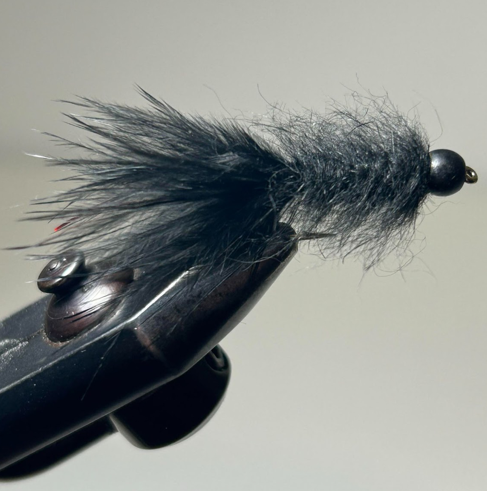 The leeches of November