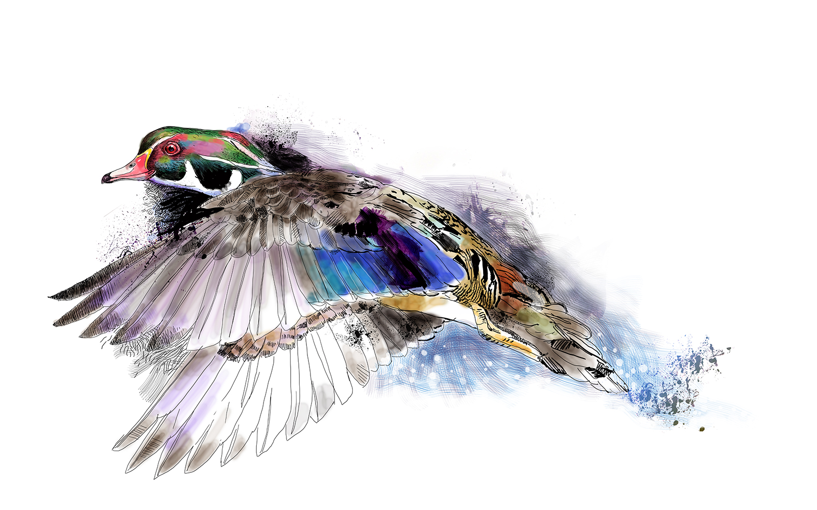 Trout Fishing is more than Trout