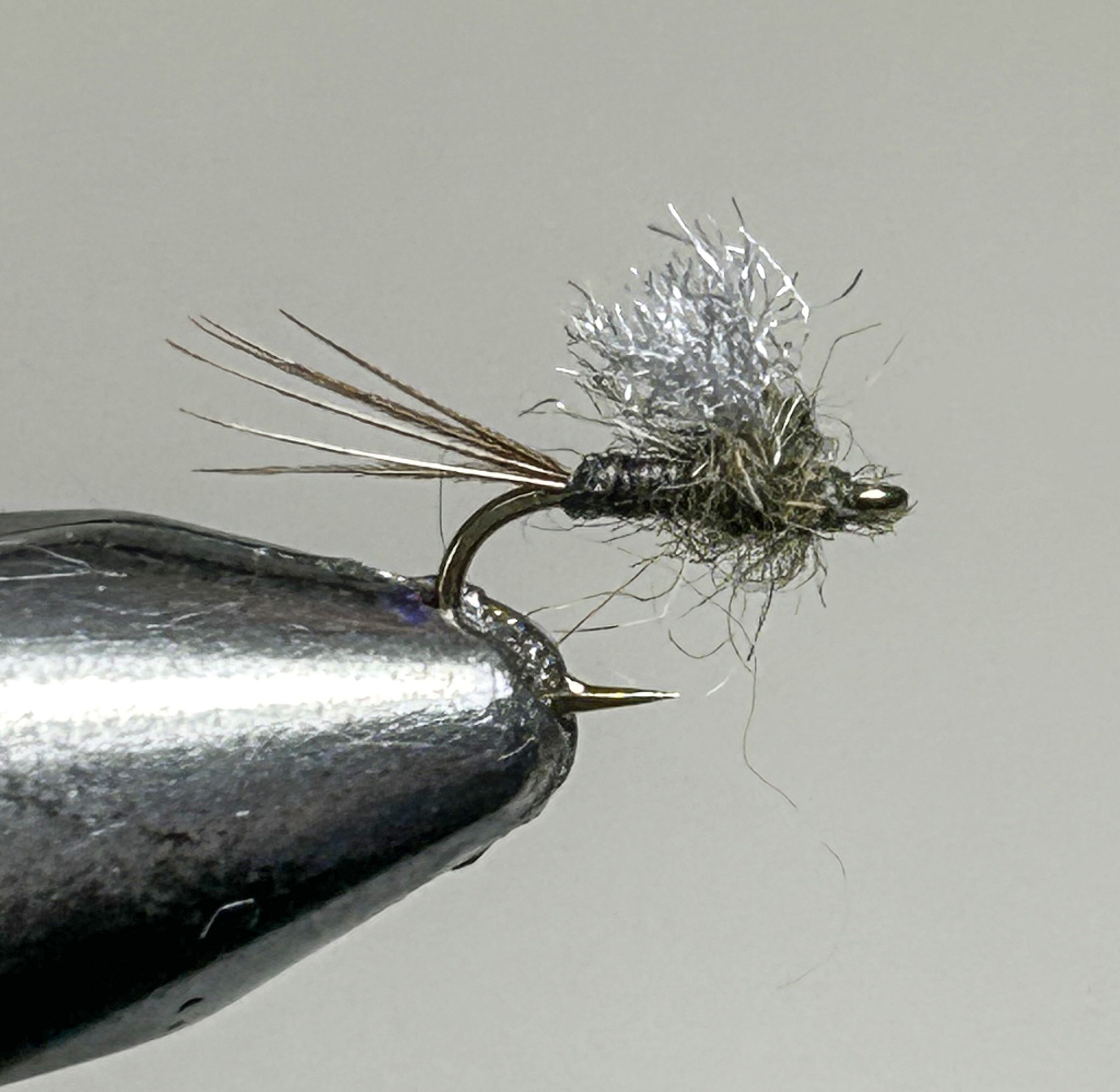 nymph nymph