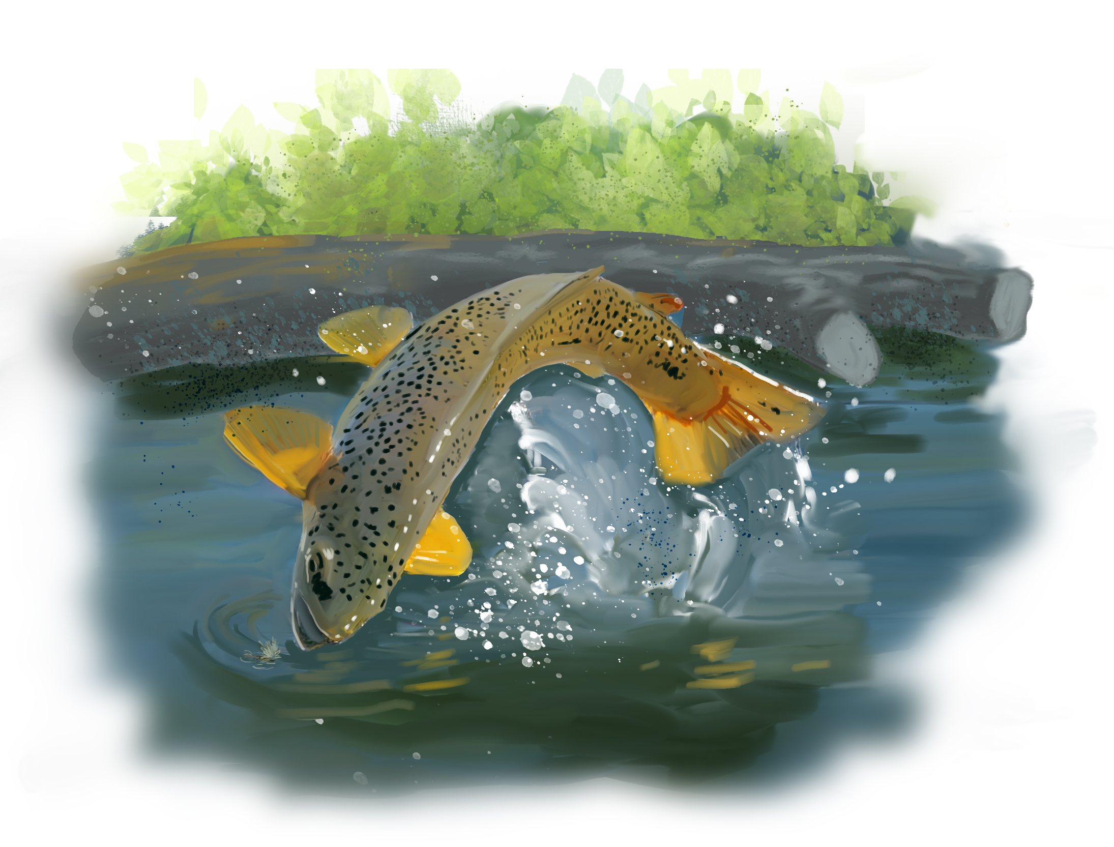 Now the real fishing begins